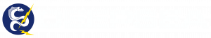 DeepSea logo